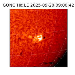 gong - 2025-09-20T09:00:42