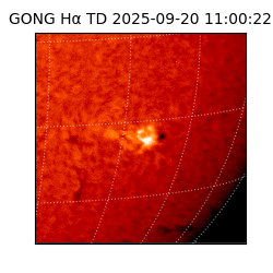 gong - 2025-09-20T11:00:22