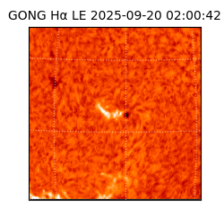 gong - 2025-09-20T02:00:42