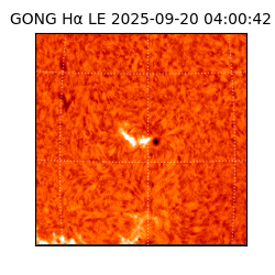 gong - 2025-09-20T04:00:42