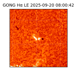 gong - 2025-09-20T08:00:42
