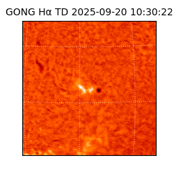 gong - 2025-09-20T10:30:22