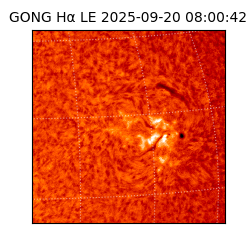 gong - 2025-09-20T08:00:42