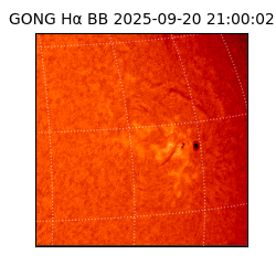 gong - 2025-09-20T21:00:02