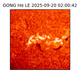 gong - 2025-09-20T02:00:42