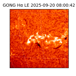 gong - 2025-09-20T08:00:42