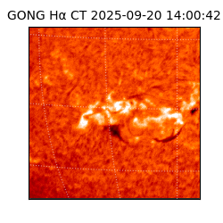 gong - 2025-09-20T14:00:42