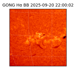 gong - 2025-09-20T22:00:02