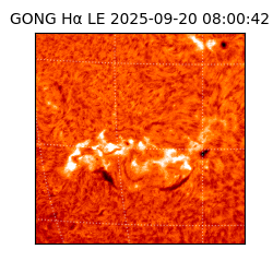 gong - 2025-09-20T08:00:42