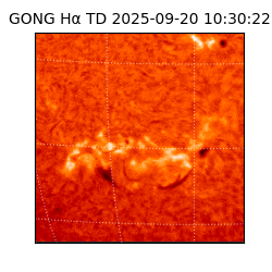 gong - 2025-09-20T10:30:22