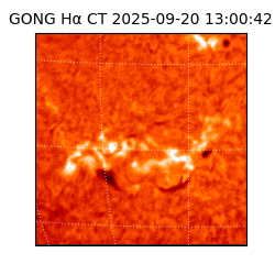 gong - 2025-09-20T13:00:42