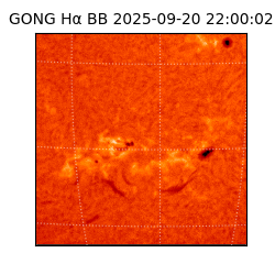 gong - 2025-09-20T22:00:02