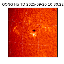 gong - 2025-09-20T10:30:22