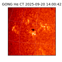 gong - 2025-09-20T14:00:42