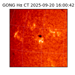 gong - 2025-09-20T16:00:42