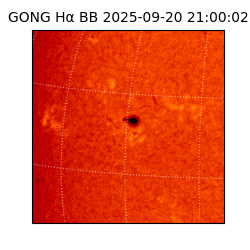 gong - 2025-09-20T21:00:02