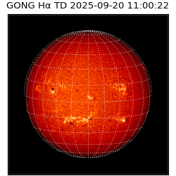 gong - 2025-09-20T11:00:22