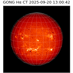 gong - 2025-09-20T13:00:42