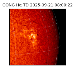 gong - 2025-09-21T08:00:22