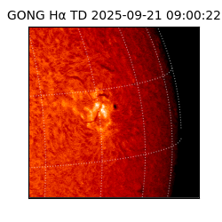 gong - 2025-09-21T09:00:22