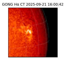 gong - 2025-09-21T16:00:42