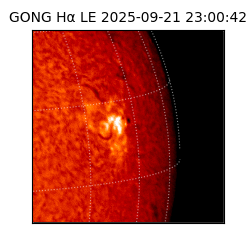 gong - 2025-09-21T23:00:42