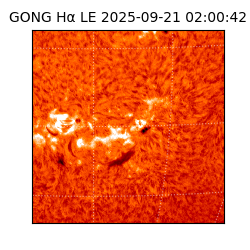 gong - 2025-09-21T02:00:42