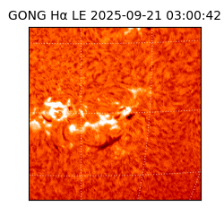 gong - 2025-09-21T03:00:42