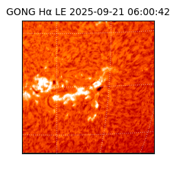 gong - 2025-09-21T06:00:42