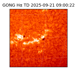 gong - 2025-09-21T09:00:22