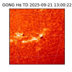 gong - 2025-09-21T13:00:22