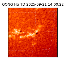 gong - 2025-09-21T14:00:22