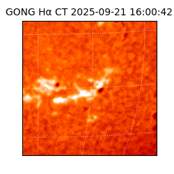 gong - 2025-09-21T16:00:42