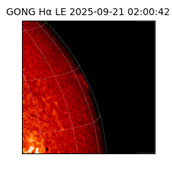 gong - 2025-09-21T02:00:42
