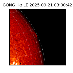 gong - 2025-09-21T03:00:42