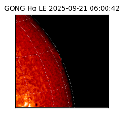 gong - 2025-09-21T06:00:42