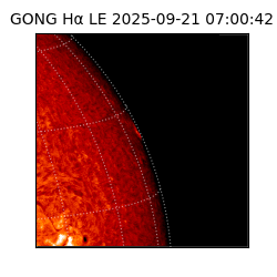 gong - 2025-09-21T07:00:42