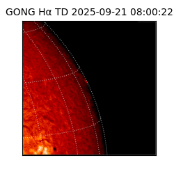 gong - 2025-09-21T08:00:22