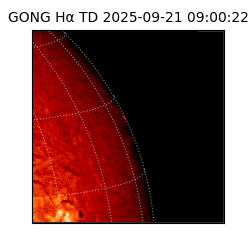 gong - 2025-09-21T09:00:22
