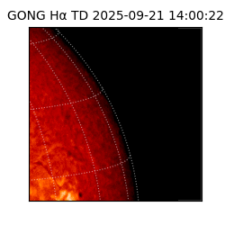 gong - 2025-09-21T14:00:22