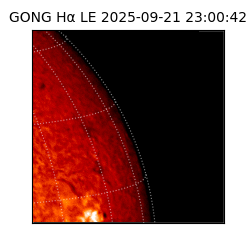 gong - 2025-09-21T23:00:42