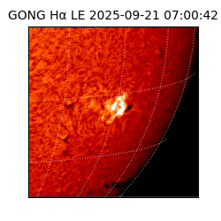 gong - 2025-09-21T07:00:42