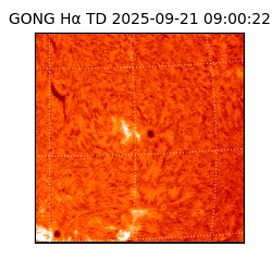 gong - 2025-09-21T09:00:22