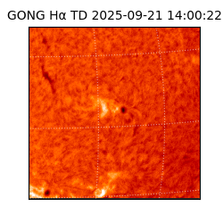 gong - 2025-09-21T14:00:22