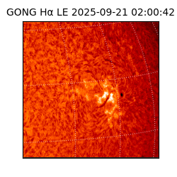 gong - 2025-09-21T02:00:42