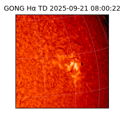 gong - 2025-09-21T08:00:22