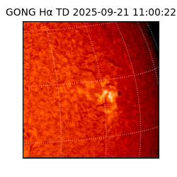 gong - 2025-09-21T11:00:22