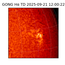 gong - 2025-09-21T12:00:22