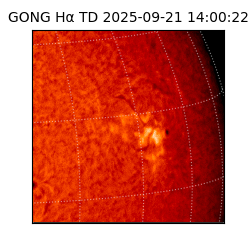 gong - 2025-09-21T14:00:22