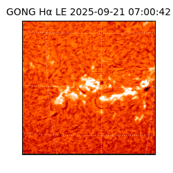 gong - 2025-09-21T07:00:42